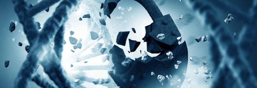 Genetic strand of DNA being broken open